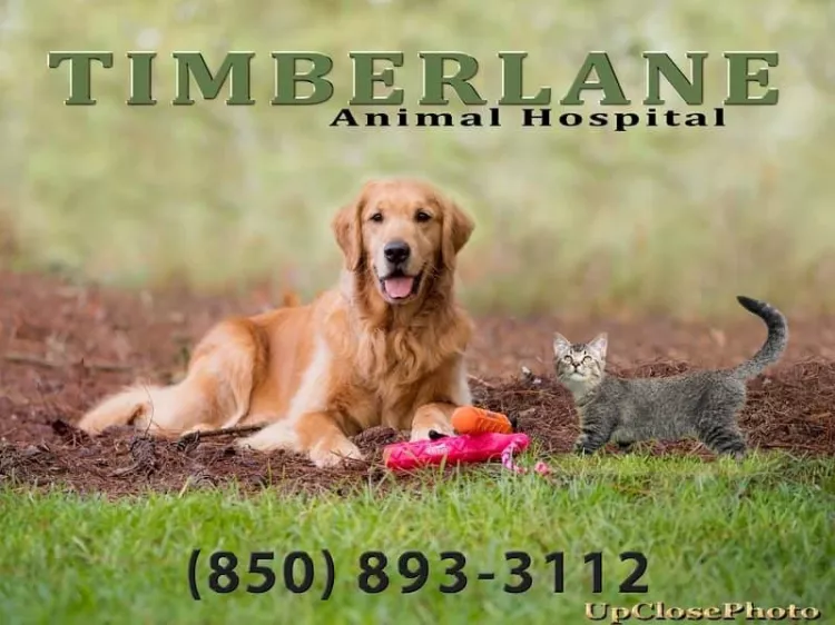 Timberlane Animal Hospital, Florida, Tallahassee